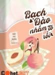 bach-dao-nham-to-roi