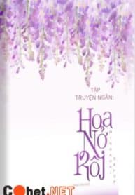 hoa-no-roi-minh-khai-da-hop