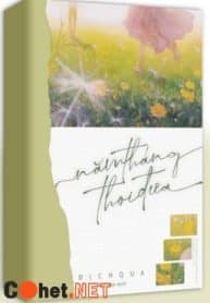 nam-thang-thoi-dua-dich-qua