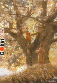 khoi-lua-nhan-gian-cham-long-pham-cohet