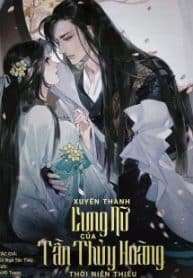 xuyen-thanh-cung-nu-cua-tan-thuy-hoang-thoi-nien-thieu.jpg