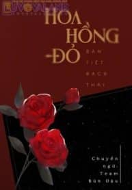 hoa-hong-do.jpg