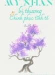 my-nhan-bi-thuong-chinh-phuc-tinh-te.jpg