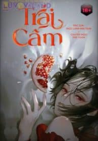 trai-cam.jpg