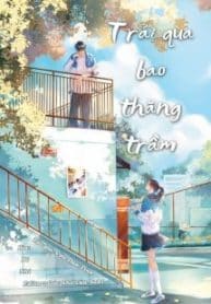 trai-qua-bao-thang-tram.jpg