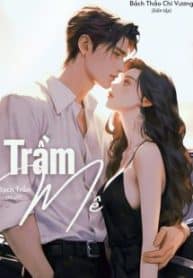 tram-me.jpg