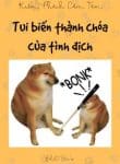 tui-bien-thanh-choa-cua-tinh-dich.jpg