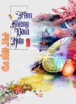 tram-khong-dam-nua.jpg