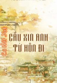 cau-xin-anh-tu-hon-di.jpg