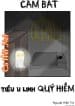 cam-bat-tieu-u-linh-quy-hiem.jpg